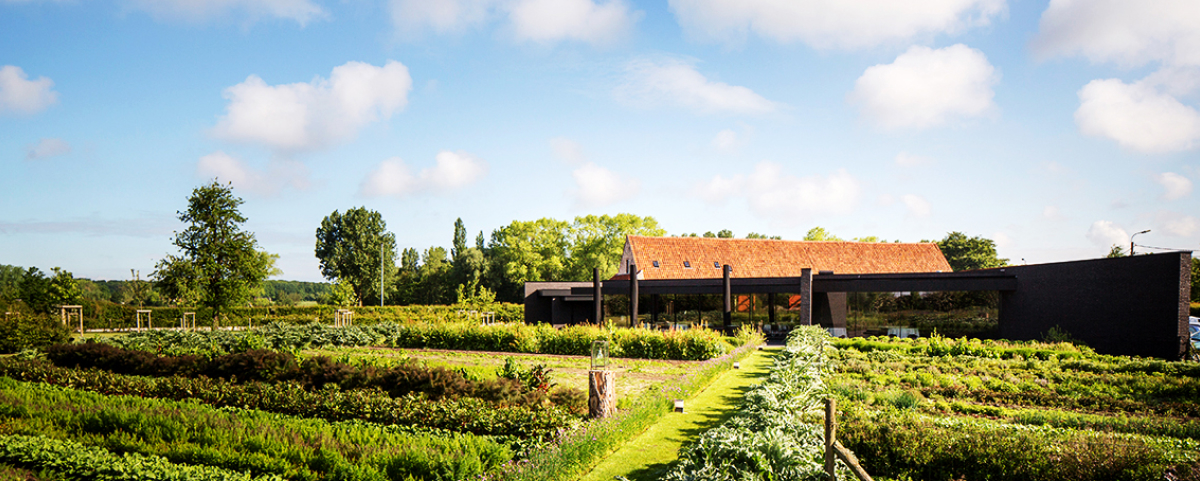 hertog jan group